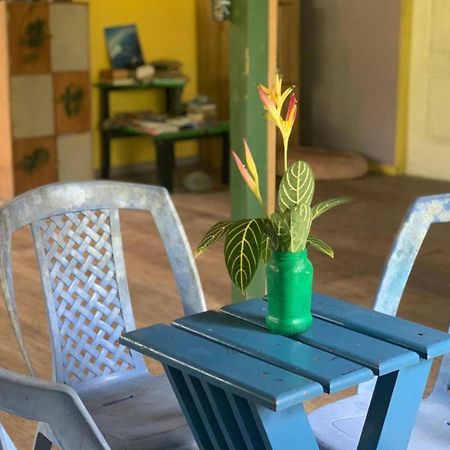 La Y Surf Camp Hotel Bocas Town Exterior photo