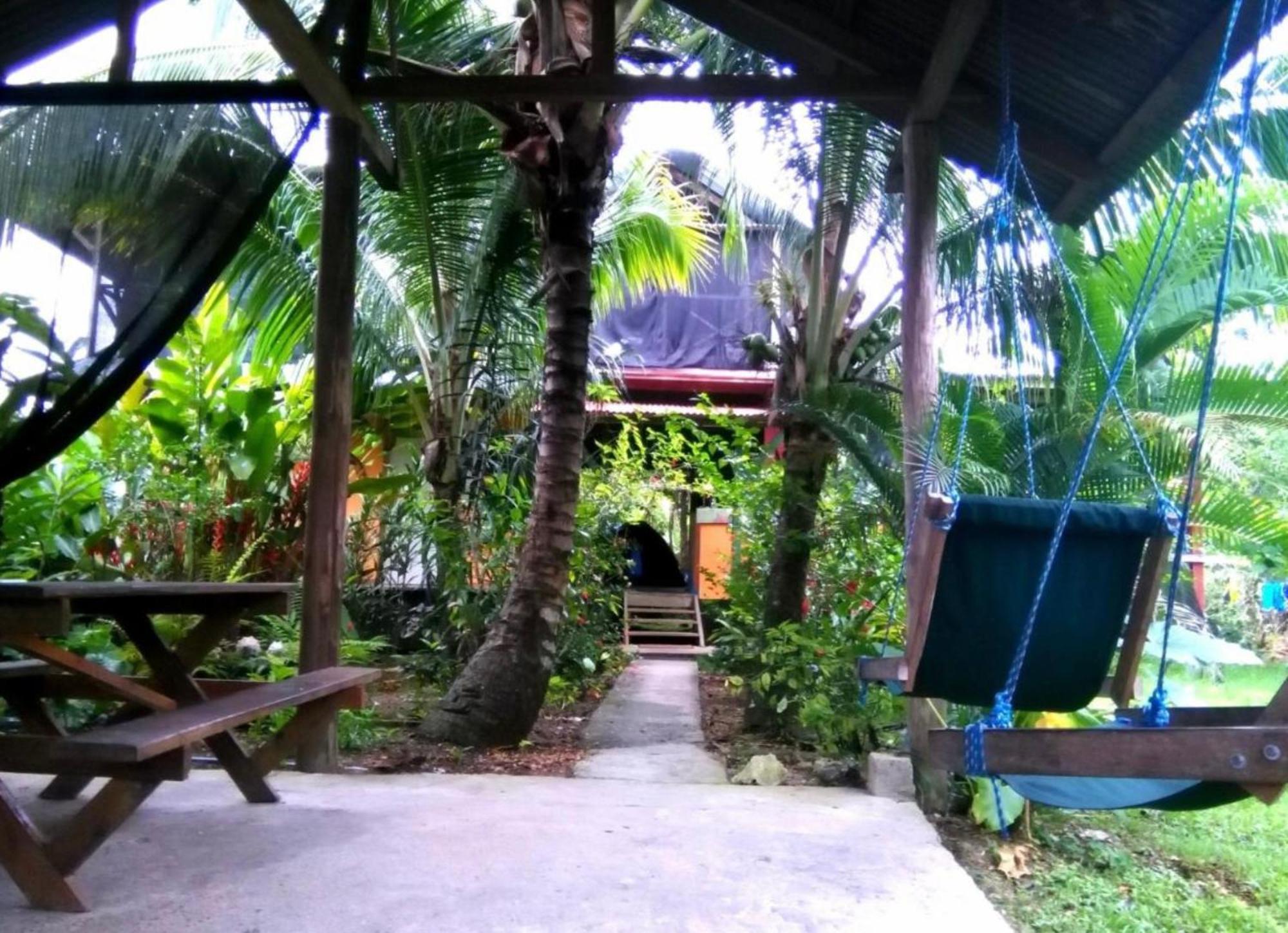 La Y Surf Camp Hotel Bocas Town Exterior photo