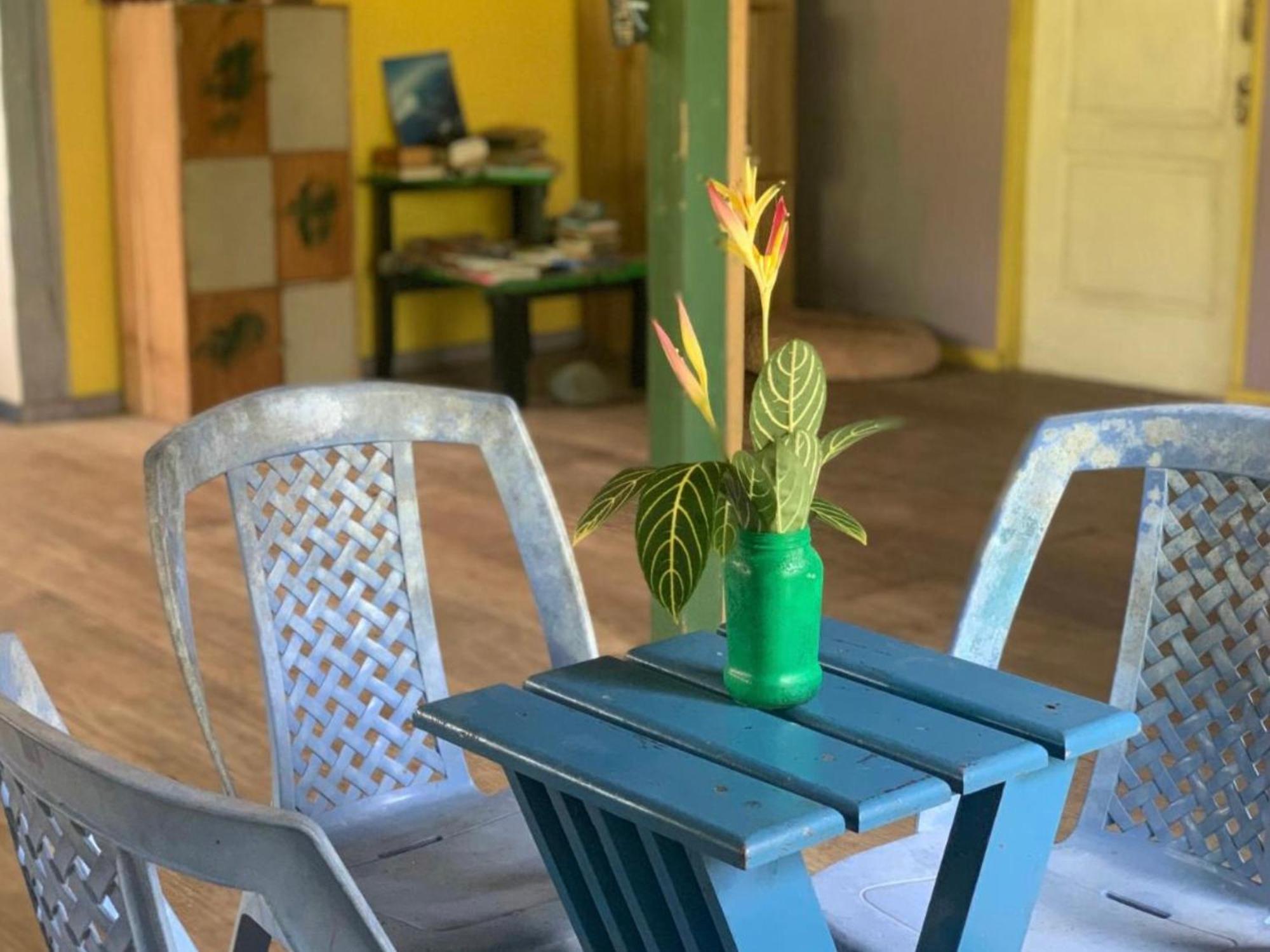 La Y Surf Camp Hotel Bocas Town Exterior photo