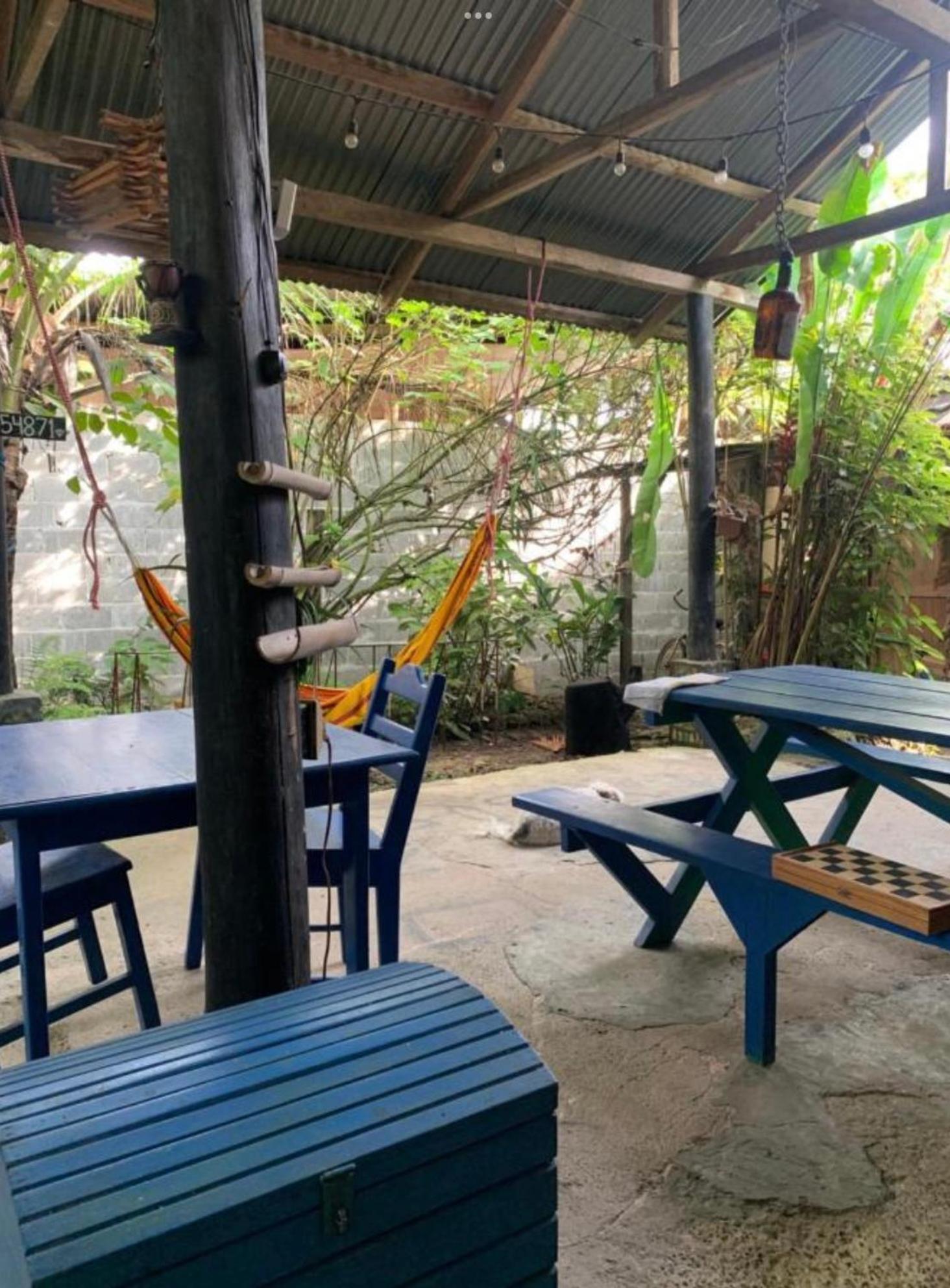 La Y Surf Camp Hotel Bocas Town Exterior photo