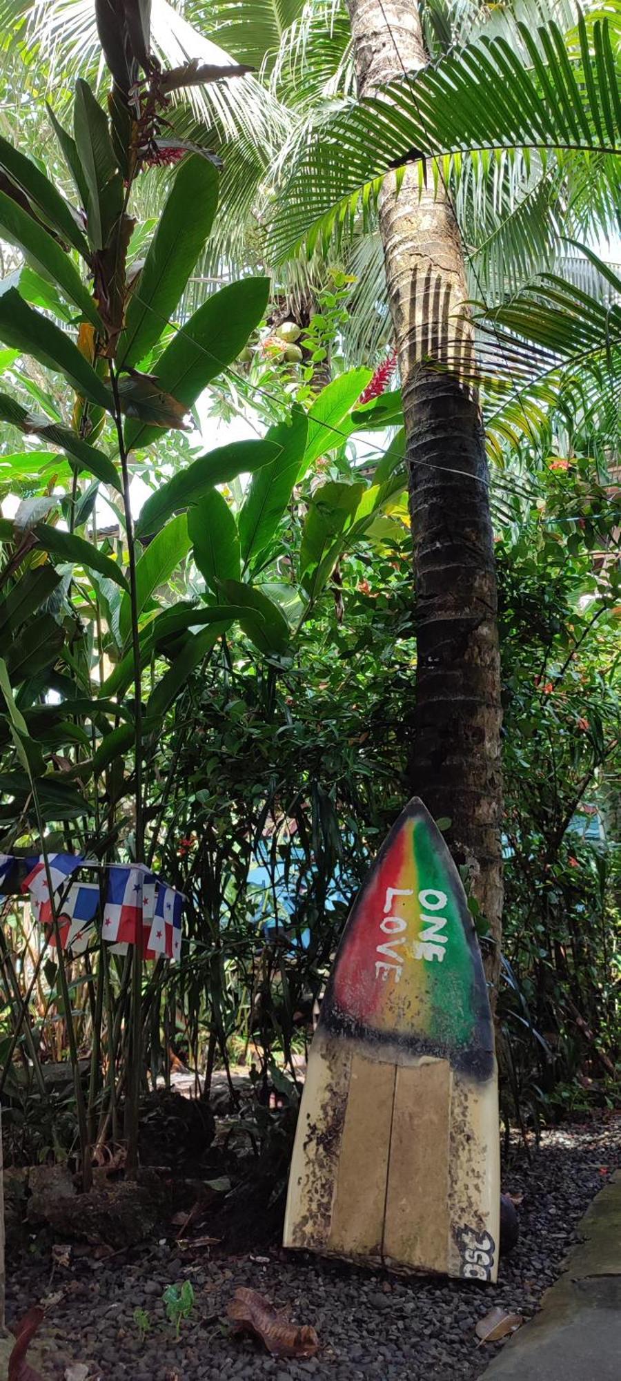 La Y Surf Camp Hotel Bocas Town Exterior photo